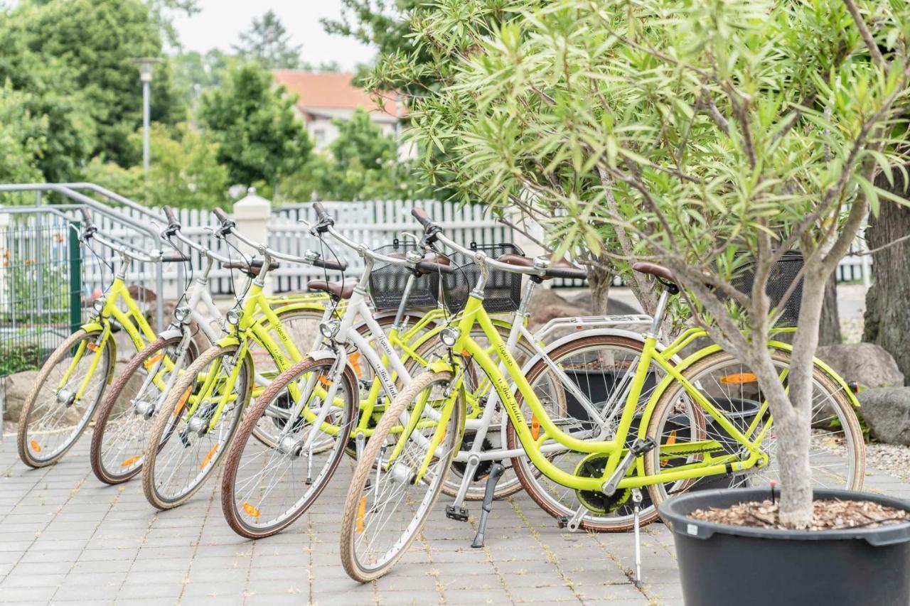 Hotel Markgraf Lehnin Zewnętrze zdjęcie
